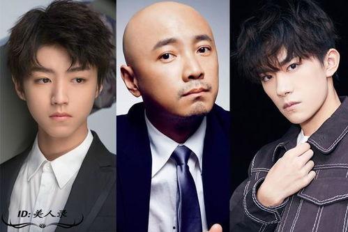 明星 对社会影响,璀璨星光下的社会效应