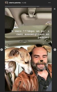 偷窥意大利在线播放,揭秘网络直播的隐秘世界