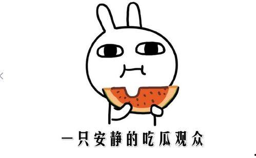 吃瓜事件,揭秘娱乐圈背后的真相与争议