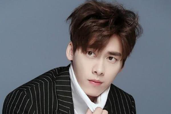 明星李毅峰,星光璀璨的影视界新秀